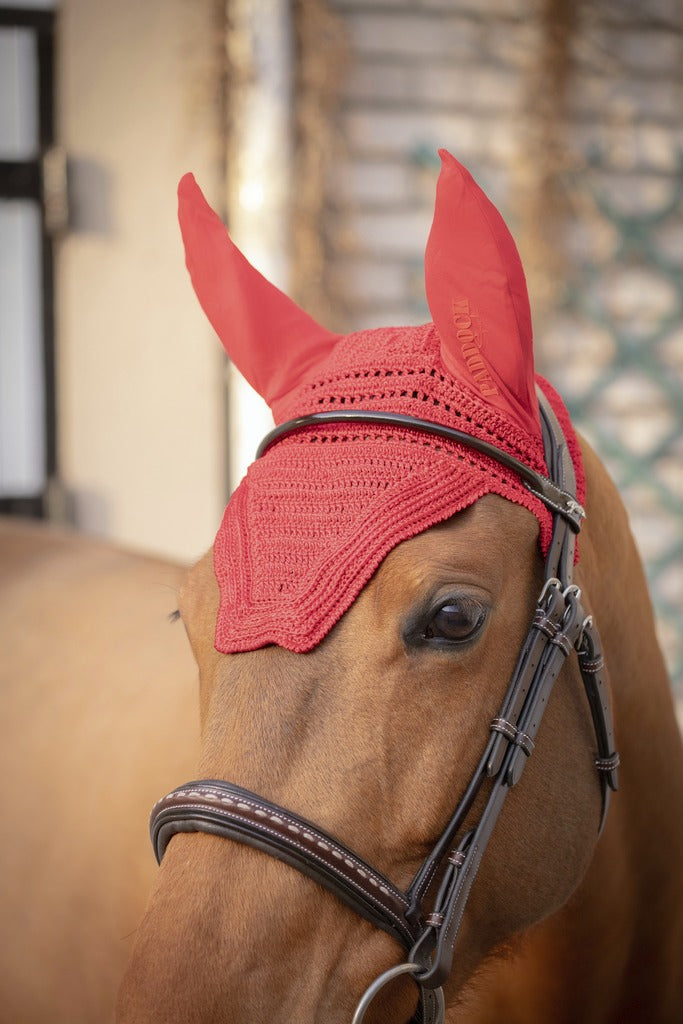 Bonnet Paddock Prems cheval