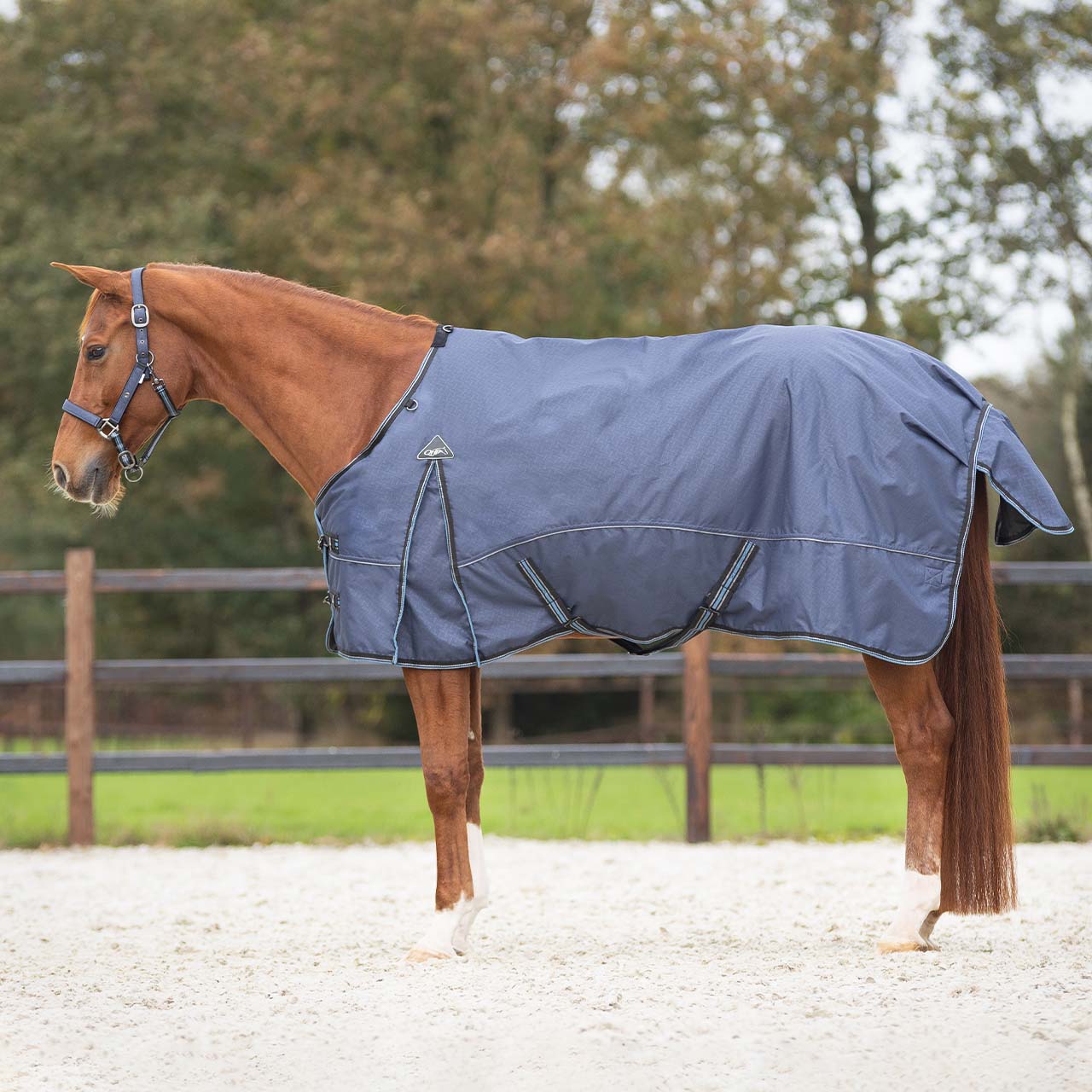 Turnout rug collection sapphire 1200D